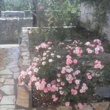 Traditional House 度假居 Katouna