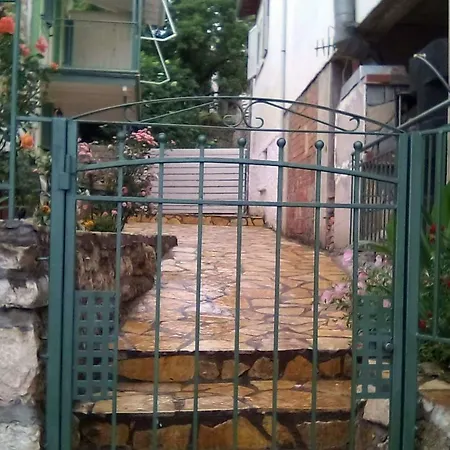 Traditional House *